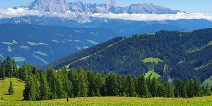 Wanderurlaub - Touren: Trailrunning - PLZ 5453 (Österreich) - Scheffer`s Hotel
